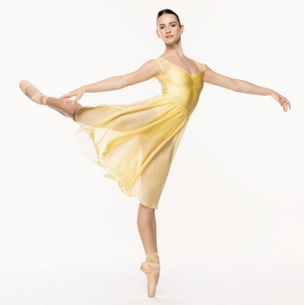 Eleve Chiffon Rehearsal Skirt - Image 4