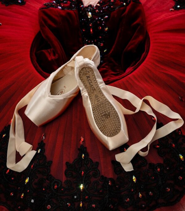 R-Class Incande Pointe Shoe - Image 3